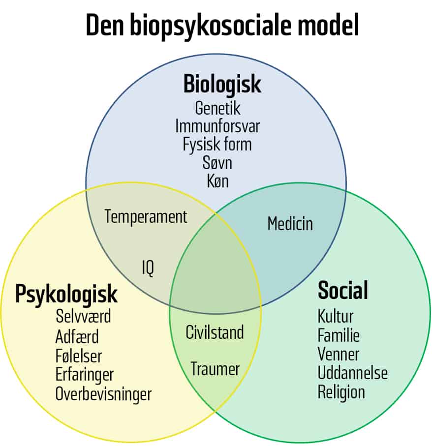 Diagram over den biopsykosociale model ved lav sexlyst med biologiske, psykologiske og sociale faktorer