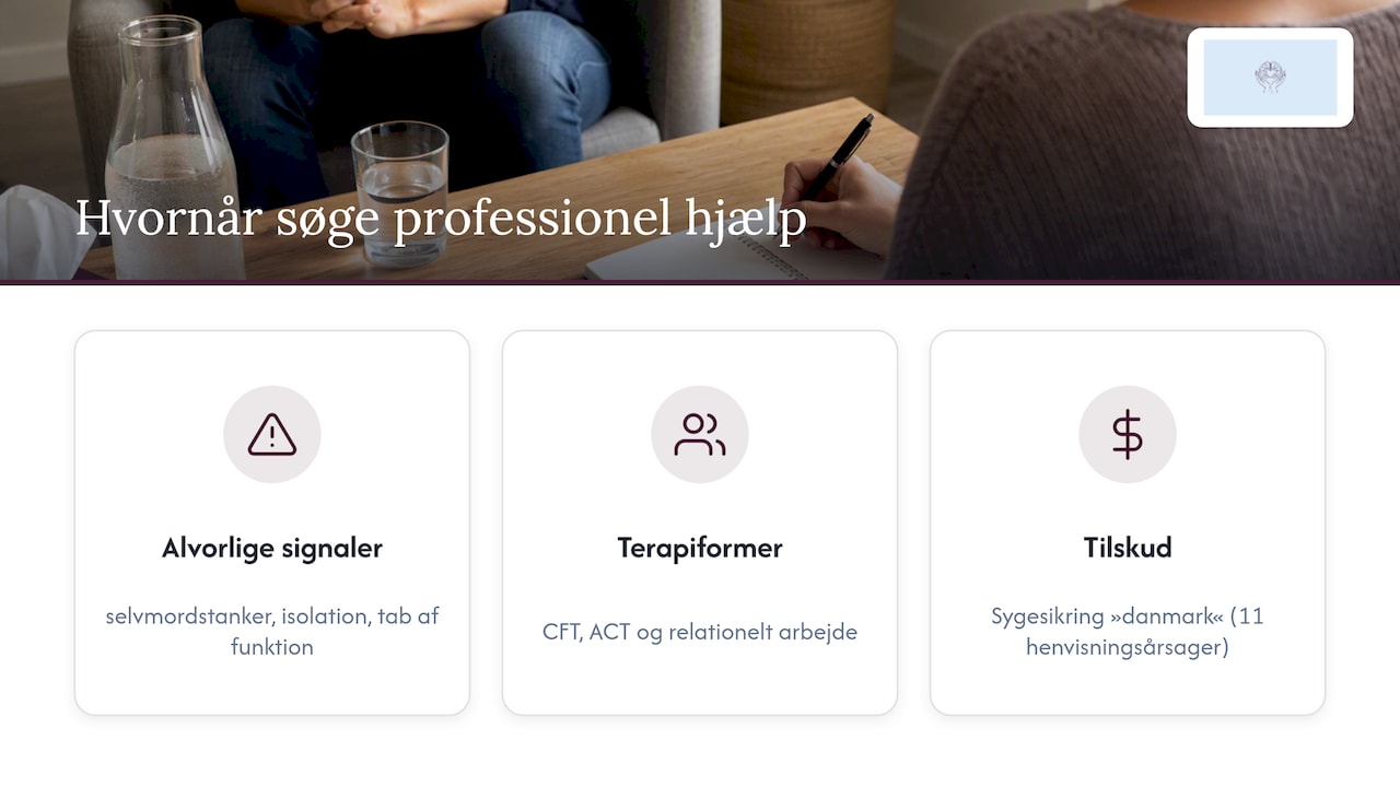 Hvornår og hvordan søger du professionel hjælp? — overview diagram