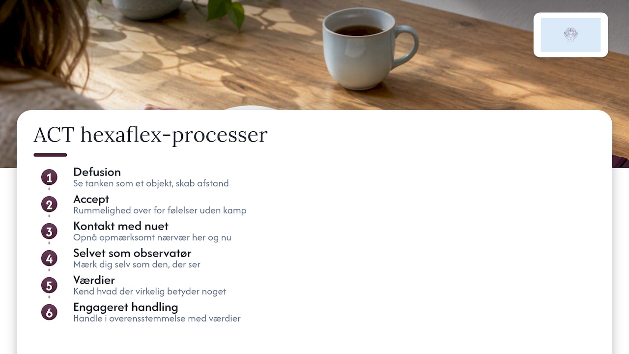 ACT-hexaflex med seks processer