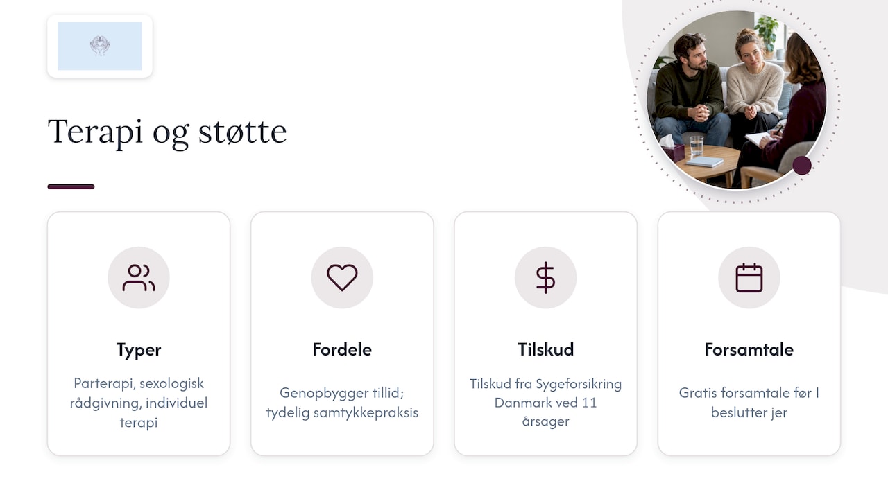 Terapi og støtte: hvad behandling kan give, og mulighed for tilskud — overview diagram