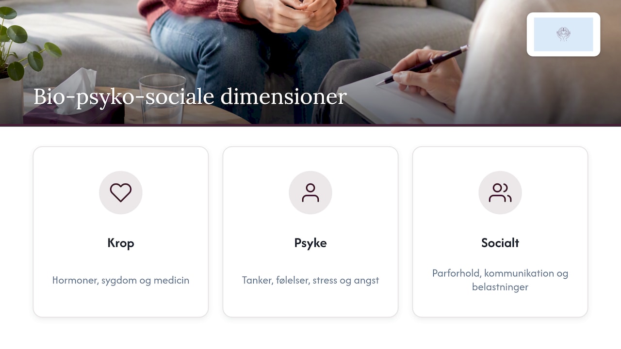 Bio-psyko-sociale modellens tre sammenhængende dimensioner